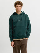 JJESOHO SWEAT HOOD NOOS 12278789