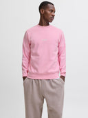 JJESOHO SWEAT CREW NECK NOOS 12278791