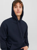 JJEBRADLEY SWEAT HOOD NOOS 12249340