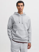 JJEBRADLEY SWEAT HOOD NOOS 12249340