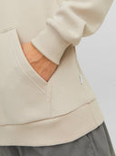 JJEBRADLEY SWEAT HOOD NOOS 12249340