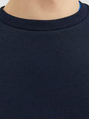 JJEBRADLEY SWEAT CREW NOOS 12249341