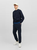 JJEBRADLEY SWEAT CREW NOOS 12249341