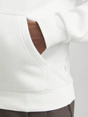 JJEBRADLEY SWEAT HOOD NOOS 12249340