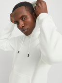 JJEBRADLEY SWEAT HOOD NOOS 12249340