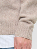 JJESOHO OLLIE KNIT CREW NECK S N 12278924