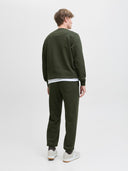 JJESOHO SWEAT CREW NECK NOOS 12278791