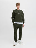 JJESOHO SWEAT CREW NECK NOOS 12278791