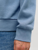 JJELOGO SWEAT HOOD 2 COL 25/26  NOOS 12279649