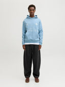 JPSTEVAN BRADLEY SWEAT PANTS 12294813