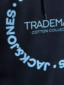 JJBENSON SWEAT HOOD 12298498
