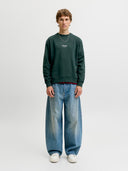 JJESOHO SWEAT CREW NECK NOOS 12278791