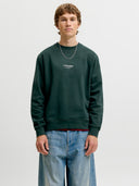 JJESOHO SWEAT CREW NECK NOOS 12278791