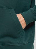 JJESOHO SWEAT HOOD NOOS 12278789