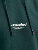 JJESOHO SWEAT HOOD NOOS 12278789