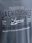 JJELOGO TEE SS O-NECK 2 COL AW 26 SN 12299017