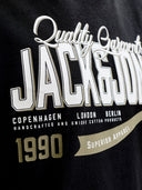 JJELOGO TEE SS O-NECK 2 COL AW 26 SN 12299017