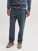 JPSTKANE BRADLEY UNCUFFED SWT PANTS NOOS 12279134