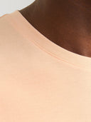 JJEORGANIC BASIC TEE SS O-NECK  NOOS 12156101