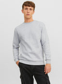 JJEBRADLEY SWEAT CREW NOOS 12249341