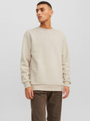 JJEBRADLEY SWEAT CREW NOOS 12249341