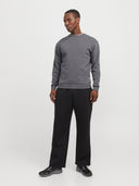 JJEBRADLEY SWEAT CREW NOOS 12249341