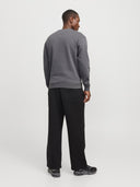 JJEBRADLEY SWEAT CREW NOOS 12249341