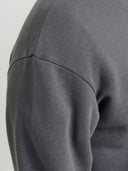 JJEBRADLEY SWEAT CREW NOOS 12249341
