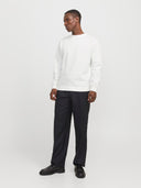 JJEBRADLEY SWEAT CREW NOOS 12249341