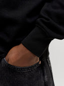 JJESOHO SWEAT CREW NECK NOOS 12278791