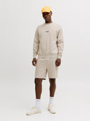 JJESOHO SWEAT CREW NECK NOOS 12278791