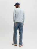 JJESOHO SWEAT CREW NECK NOOS 12278791