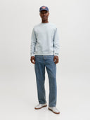 JJESOHO SWEAT CREW NECK NOOS 12278791