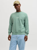 JJESOHO SWEAT CREW NECK NOOS 12278791