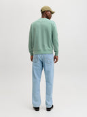 JJESOHO SWEAT CREW NECK NOOS 12278791