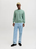 JJESOHO SWEAT CREW NECK NOOS 12278791