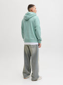 JJESOHO SWEAT HOOD NOOS 12278789