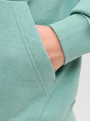 JJESOHO SWEAT HOOD NOOS 12278789