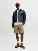 JPSTCOLE FRANK CARGO SHORTS MI D SN 12291369
