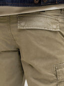JPSTCOLE FRANK CARGO SHORTS MI D SN 12291369