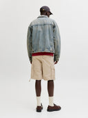 JPSTCOLE FRANK CARGO SHORTS MI D SN 12291369