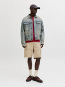 JPSTCOLE FRANK CARGO SHORTS MI D SN 12291369