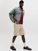 JPSTCOLE FRANK CARGO SHORTS MI D SN 12291369