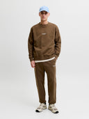 JJESOHO SWEAT CREW NECK NOOS 12278791