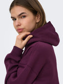 ONLBEST L/S HOOD SWT NOOS 15338730