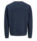 JPRBLUCALEB SWEAT CREW NECK SN 12295206