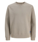JPRBLUCALEB SWEAT CREW NECK SN 12295206