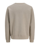 JPRBLUCALEB SWEAT CREW NECK SN 12295206