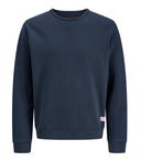 JPRBLUCALEB SWEAT CREW NECK SN 12295206