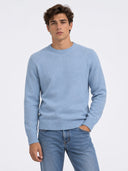 JPRLAMBSWOOL KNIT CREW NECK LN 12216799